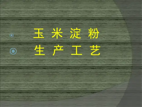玉米淀粉工艺