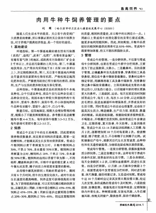 肉用牛种牛饲养管理的要点