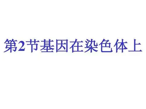基因在染色体上 (3)