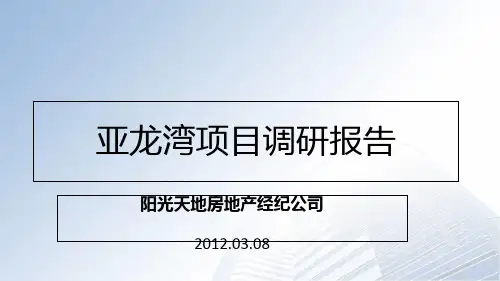 某房地产项目调研报告项目调研模板(PPT 39页)