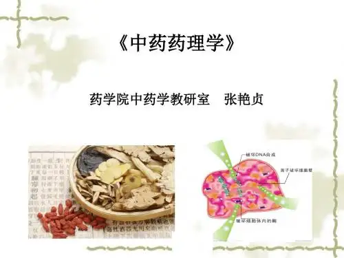 《中药药理学》课件第一讲