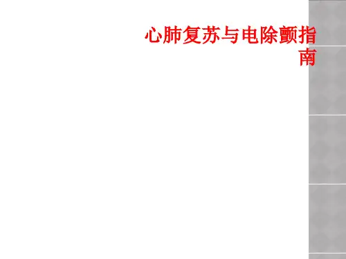 心肺复苏与电除颤指南