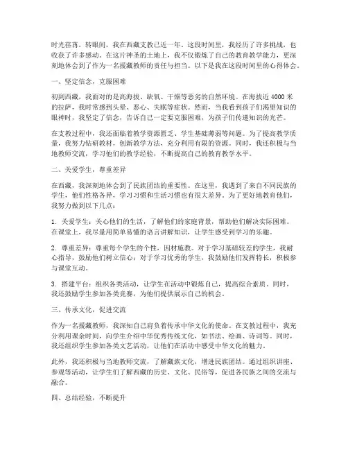 援藏教师锻炼心得体会范文