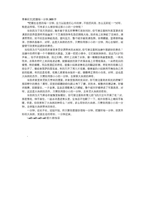 高中作文-青春征文]把握每一分钟_900字