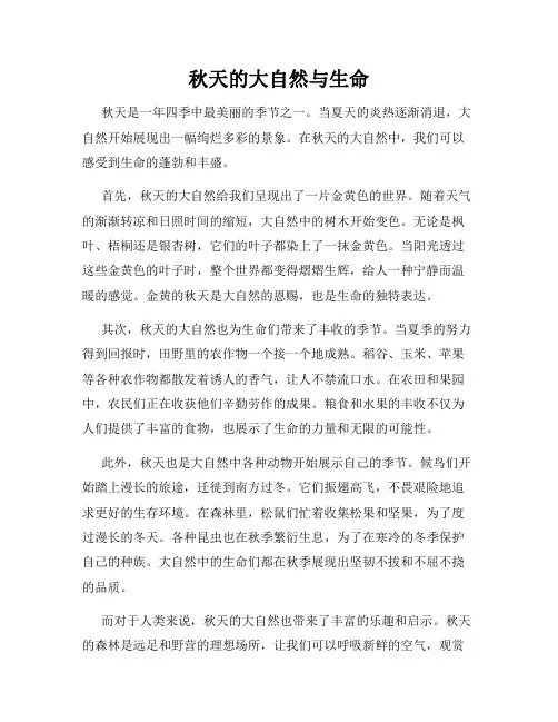 秋天的大自然与生命