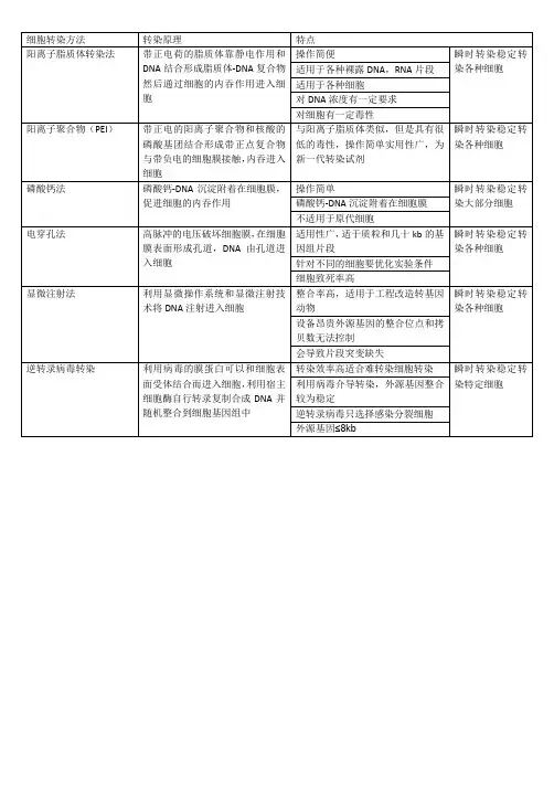 哺乳动物细胞转染方法总结
