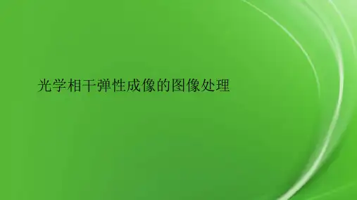 光学相干弹性成像的图像处理