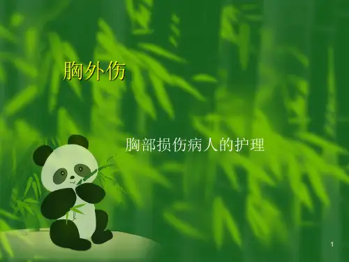 胸外伤PPT课件