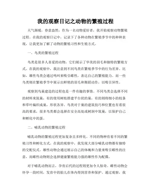 我的观察日记之动物的繁殖过程