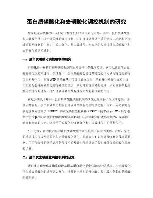 蛋白质磷酸化和去磷酸化调控机制的研究
