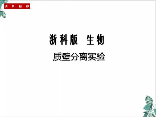 质壁分离实验-浙江高考生物一轮复习优质PPT公开课PPT