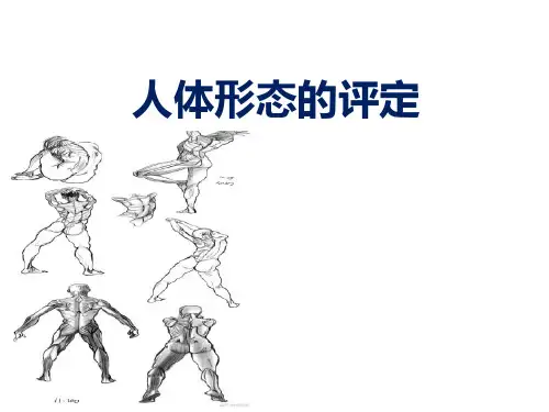 人体形态的评定
