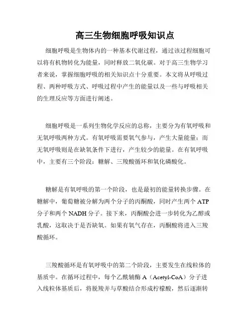 高三生物细胞呼吸知识点