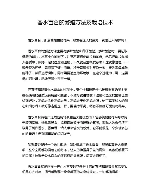 香水百合的繁殖方法及栽培技术