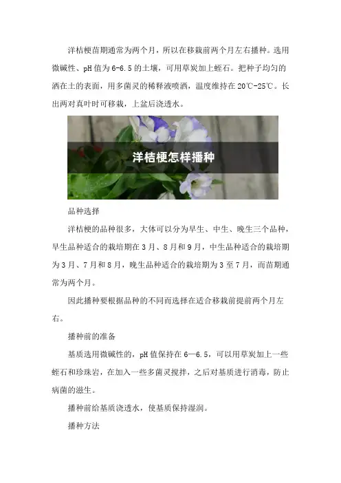 洋桔梗怎样播种