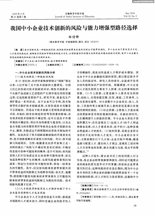 我国中小企业技术创新的风险与能力增强型路径选择