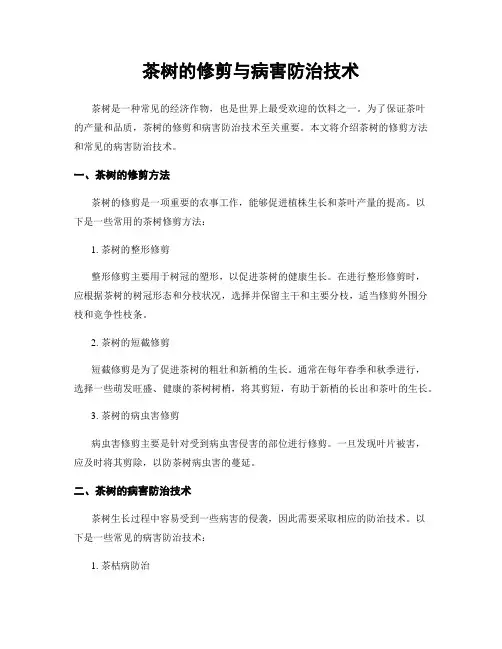 茶树的修剪与病害防治技术