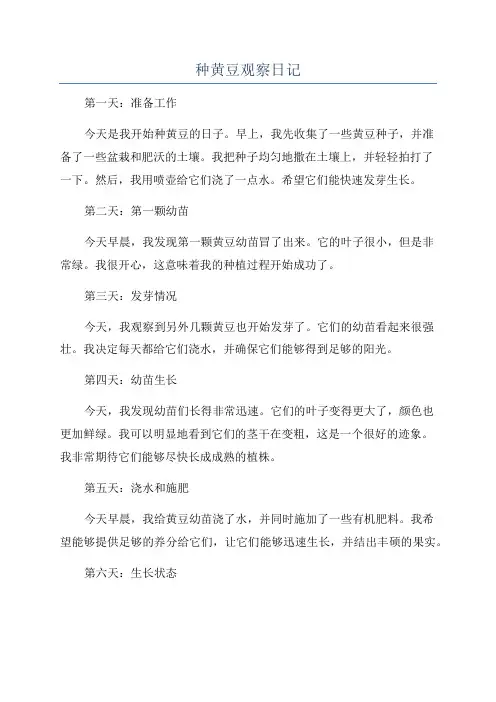 种黄豆观察日记