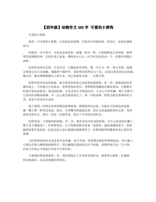 【四年级】动物作文450字 可爱的小黄狗