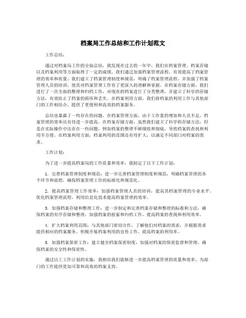 档案局工作总结和工作计划范文