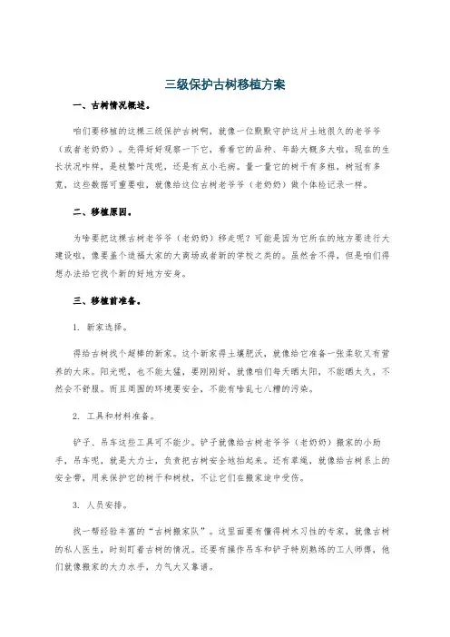 三级保护古树移植方案