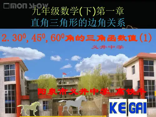 25.2 30度,45度,60度角的三角函数值(1)-