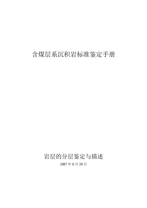含煤岩系岩性鉴定标准