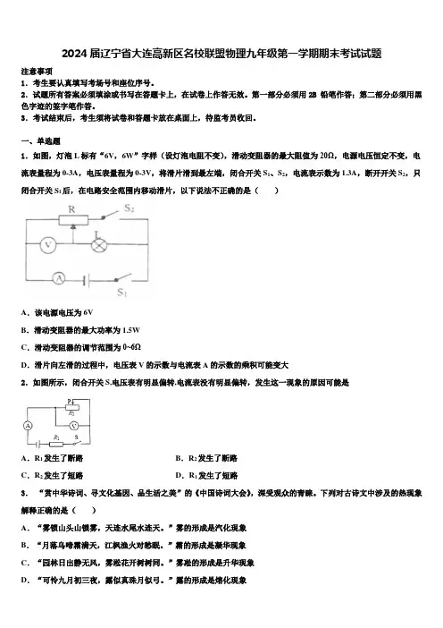 2024届辽宁省大连高新区名校联盟物理九年级第一学期期末考试试题含解析
