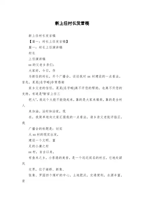 新上任村长发言稿
