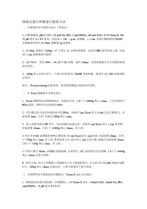 细菌总蛋白的提取方法