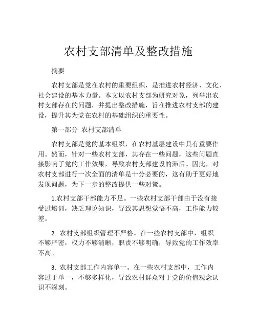 农村支部清单及整改措施