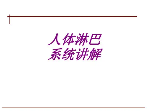 医学人体淋巴系统讲解专题课件