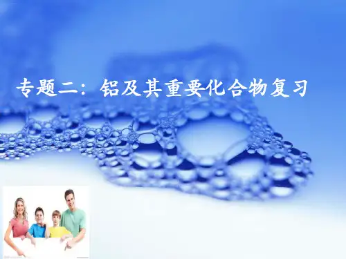 高考化学二轮复习铝及其化合物的专题复习教学课件