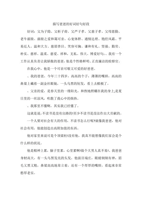 描写爸爸的好词好句好段-作文