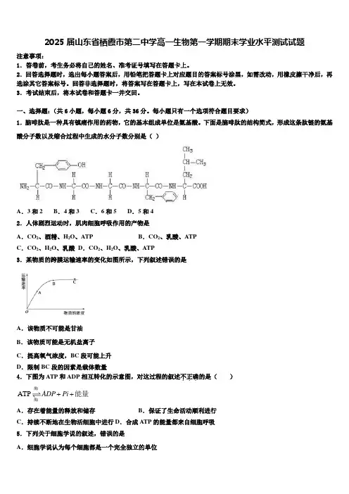 2025届山东省栖霞市第二中学高一生物第一学期期末学业水平测试试题含解析