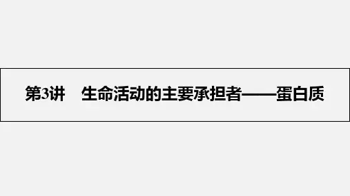 高考生物 一轮复习 细胞及其分子组成  生命活动的主要承担者-蛋白质