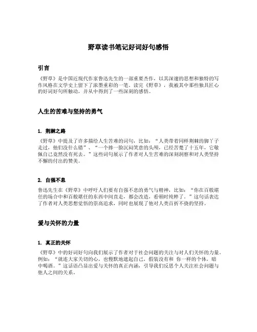 野草读书笔记好词好句感悟