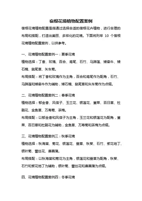 宿根花境植物配置案例
