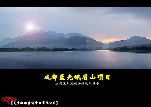 成都蓝光峨眉山项目主题策划及概念性规划报告