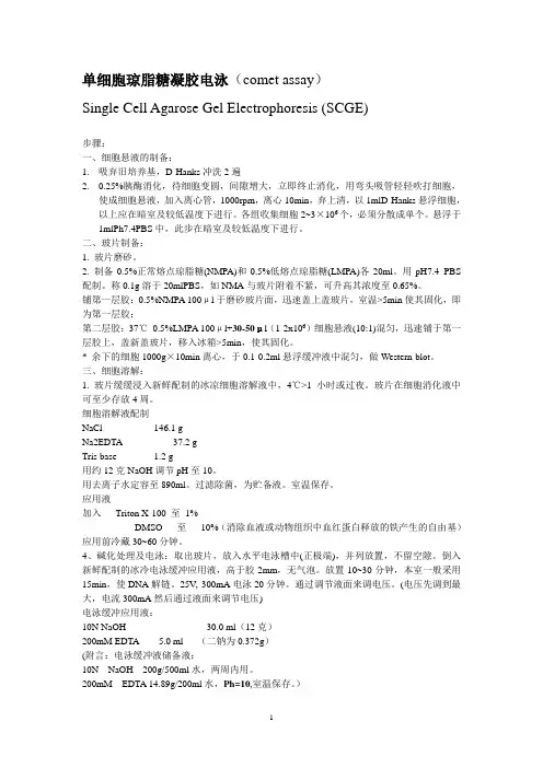 单细胞琼脂糖凝胶电泳(comet assay)修订版