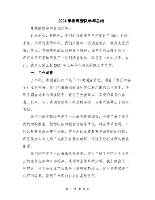 2024年市调查队半年总结