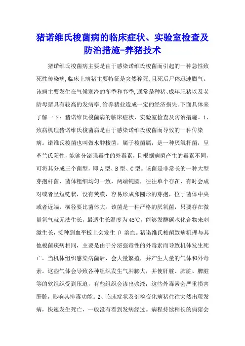 猪诺维氏梭菌病的临床症状、实验室检查及防治措施 - 养猪技术
