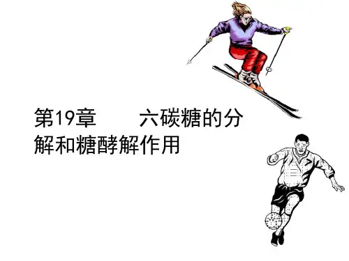高中生物竞赛糖的分解和糖酵解作用---ppt课件