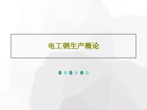 电工钢生产概论共37页