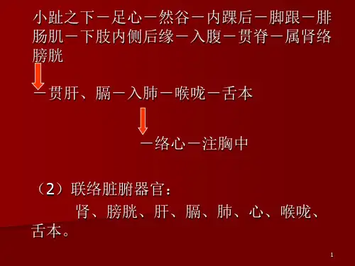 2.8.3第二章第八节足少阴肾经