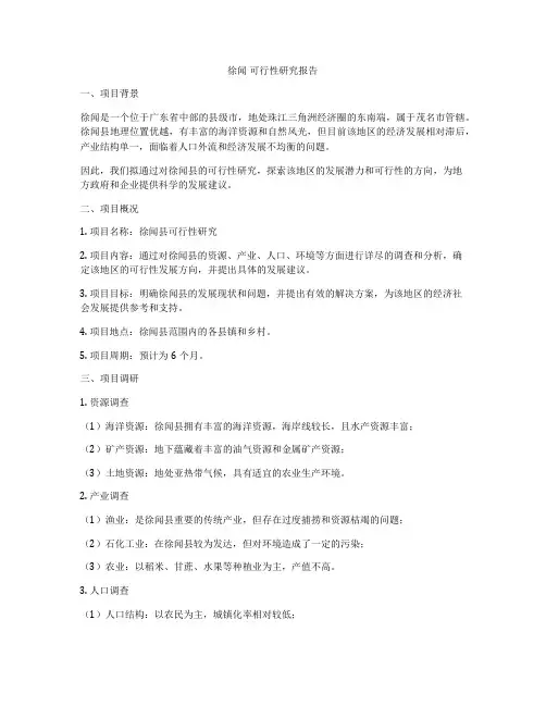 徐闻 可行性研究报告