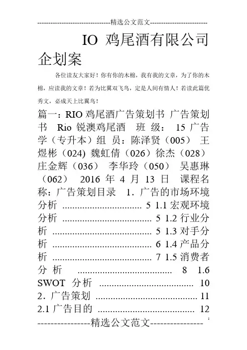 IO鸡尾酒有限公司企划案
