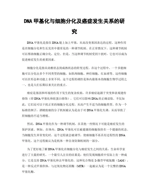 DNA甲基化与细胞分化及癌症发生关系的研究
