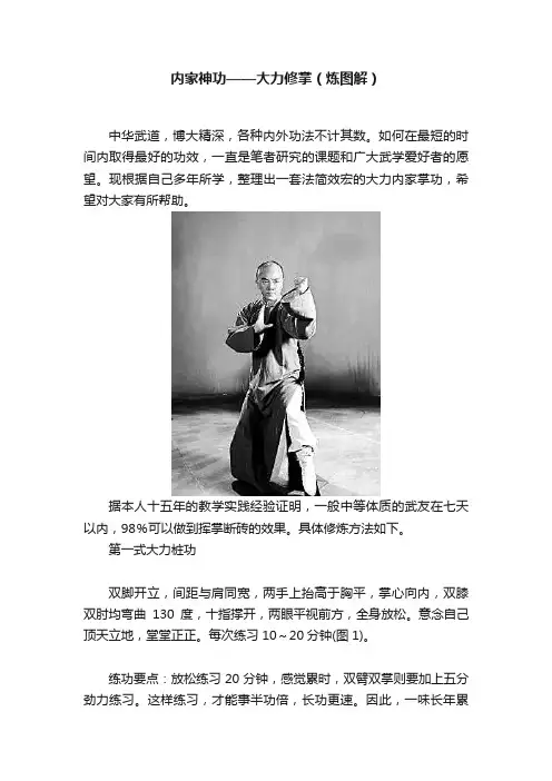 内家神功——大力修掌（炼图解）