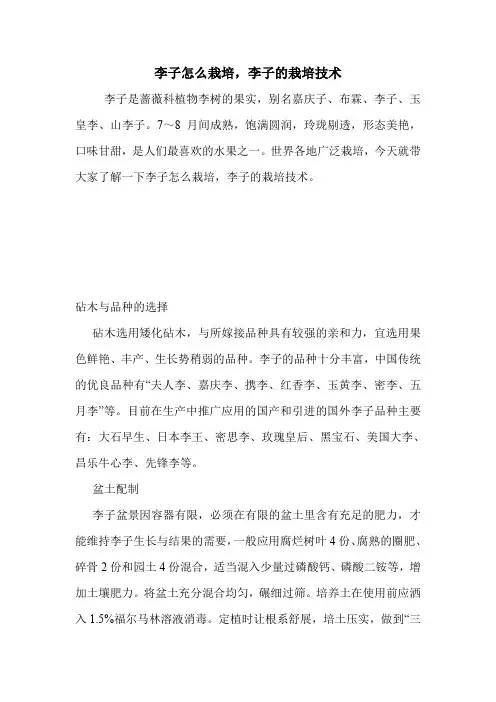 李子怎么栽培,李子的栽培技术.doc